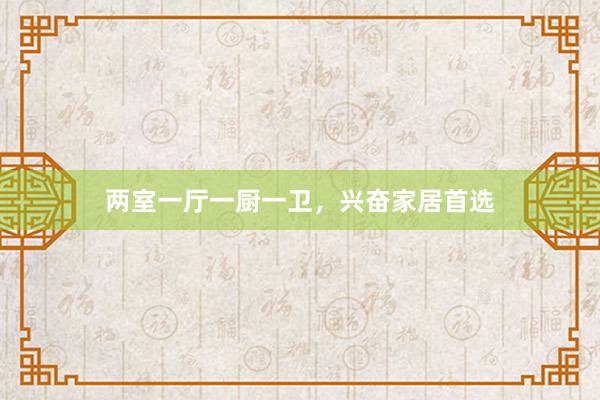 两室一厅一厨一卫，兴奋家居首选