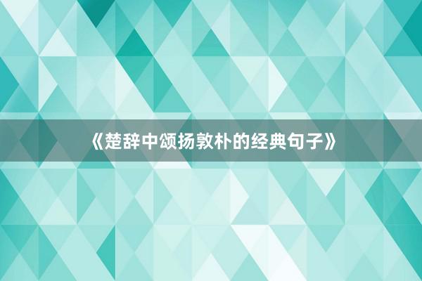 《楚辞中颂扬敦朴的经典句子》